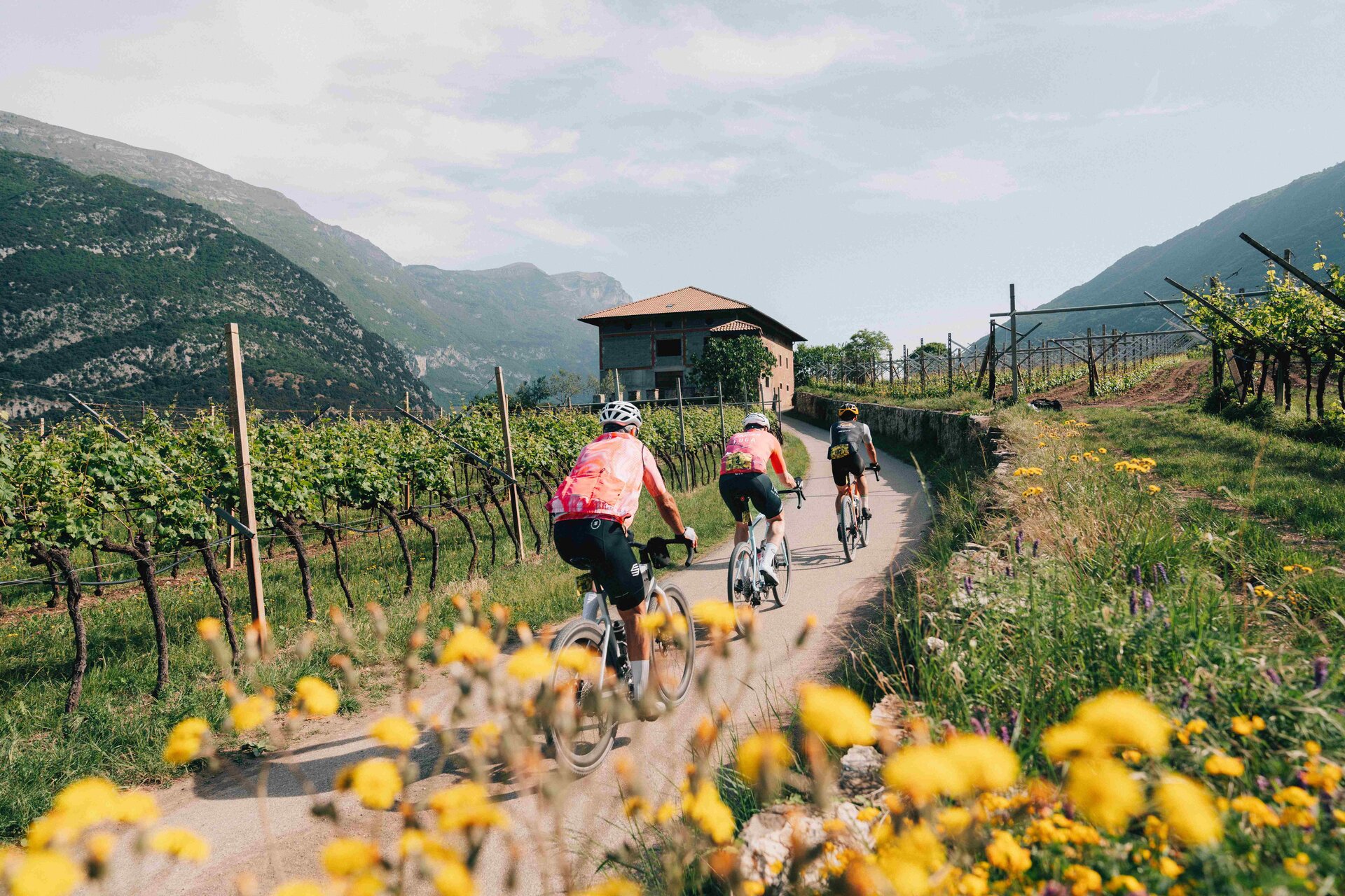 2026 APTGARDADOLOMITISPA Ph.Patrick Wasshuber BikeFestivalRivaDelGarda Web 03011