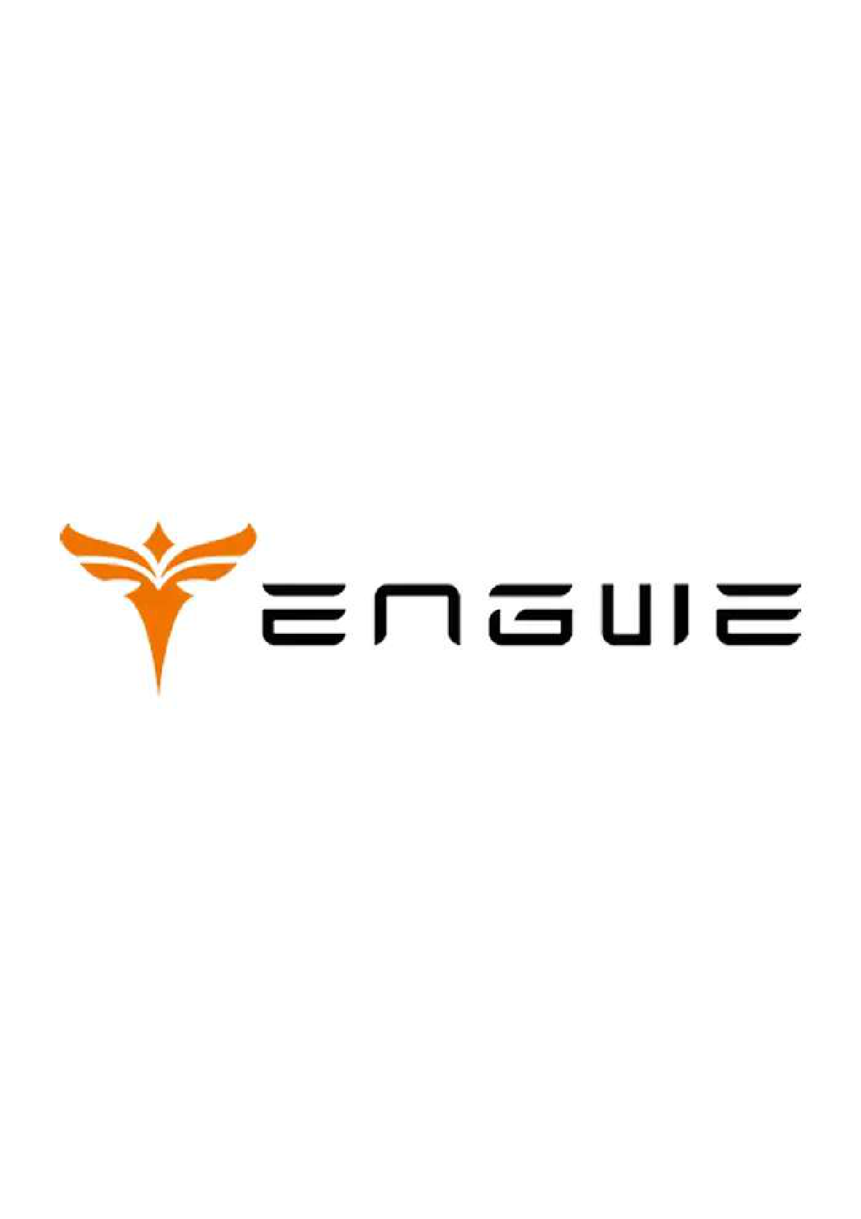 Engwe Ebike