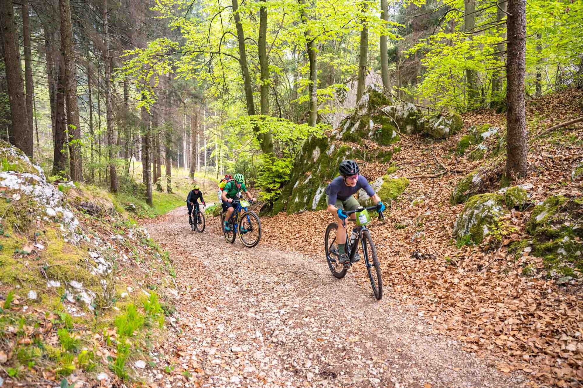 Maxxis Gravel Garda Trentino - Long Track