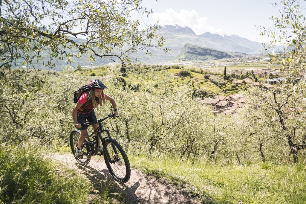 Img2 96121603 Default Variant