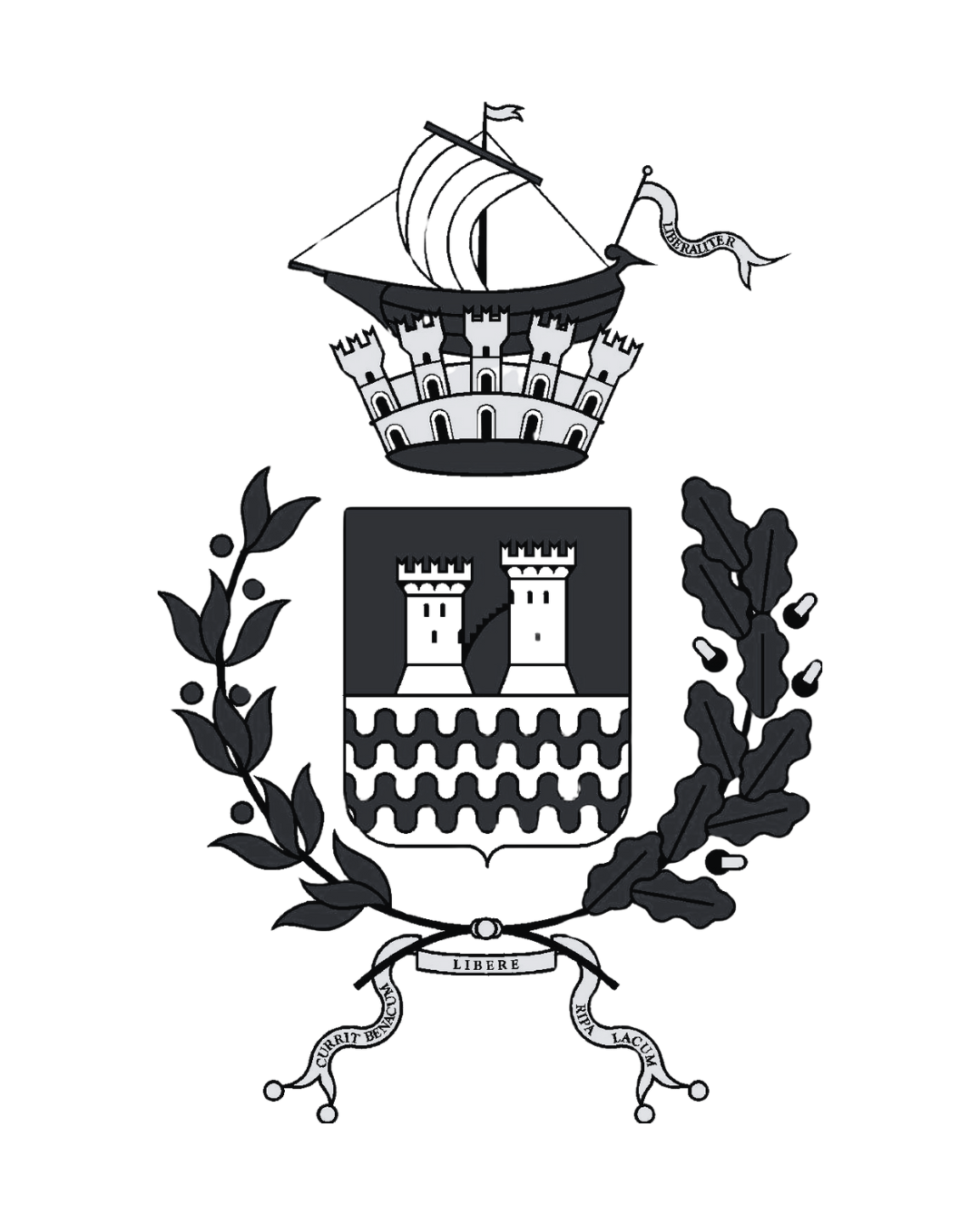 1-comune-riva.png